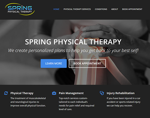 Spring Physical Therapy Website